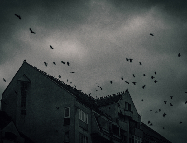 „Azóta is rettegek a varjaktól.” – Filmek, amik túl fiatalon traumatizáltak minket