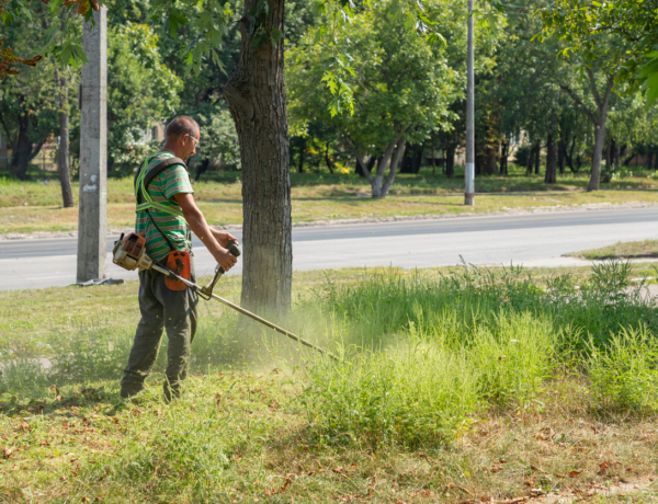 Az allergiások ma nem lélegezhetnek fel. Pollenjelentés