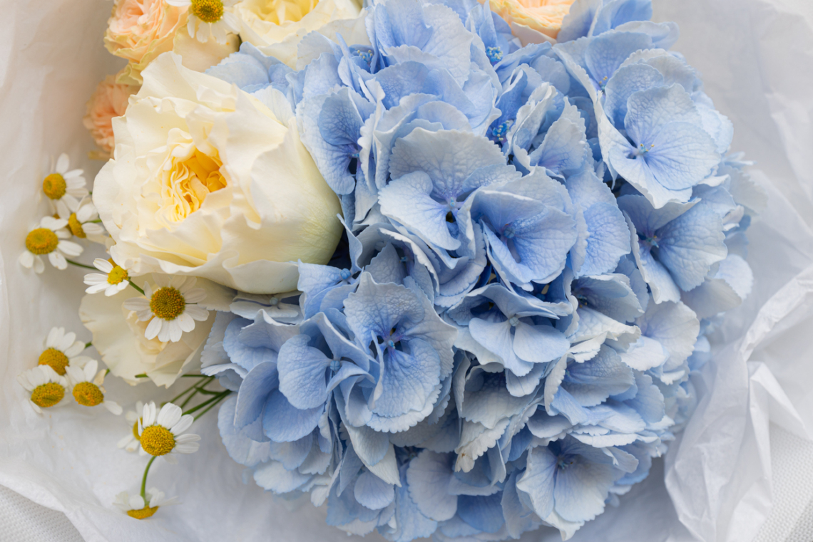 István névnap augusztus 20-án: mit rejt az Istvánok személyisége?