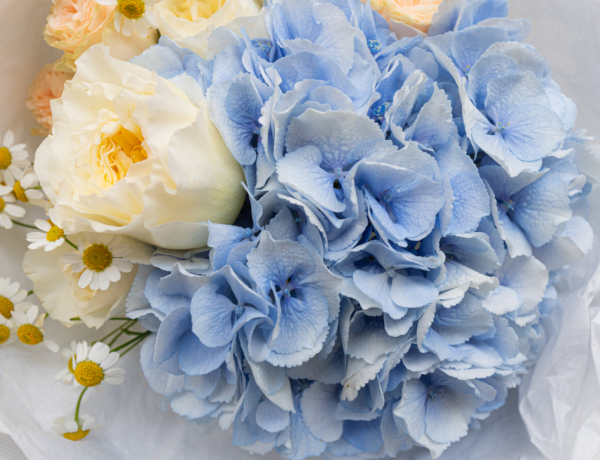 István névnap augusztus 20-án: mit rejt az Istvánok személyisége?