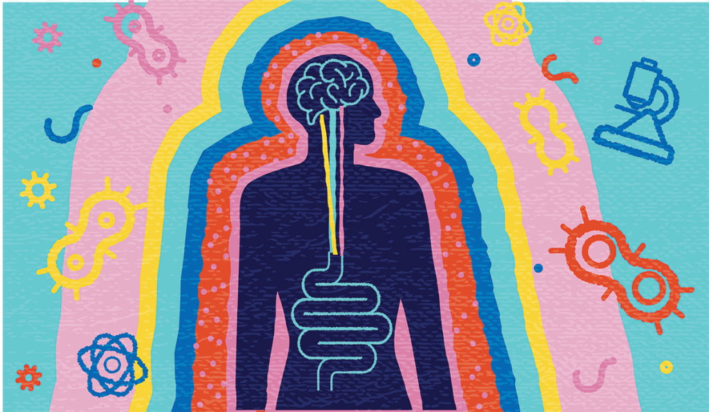 3 elképesztő tudományos felfedezés a bél‑agy tengelyről