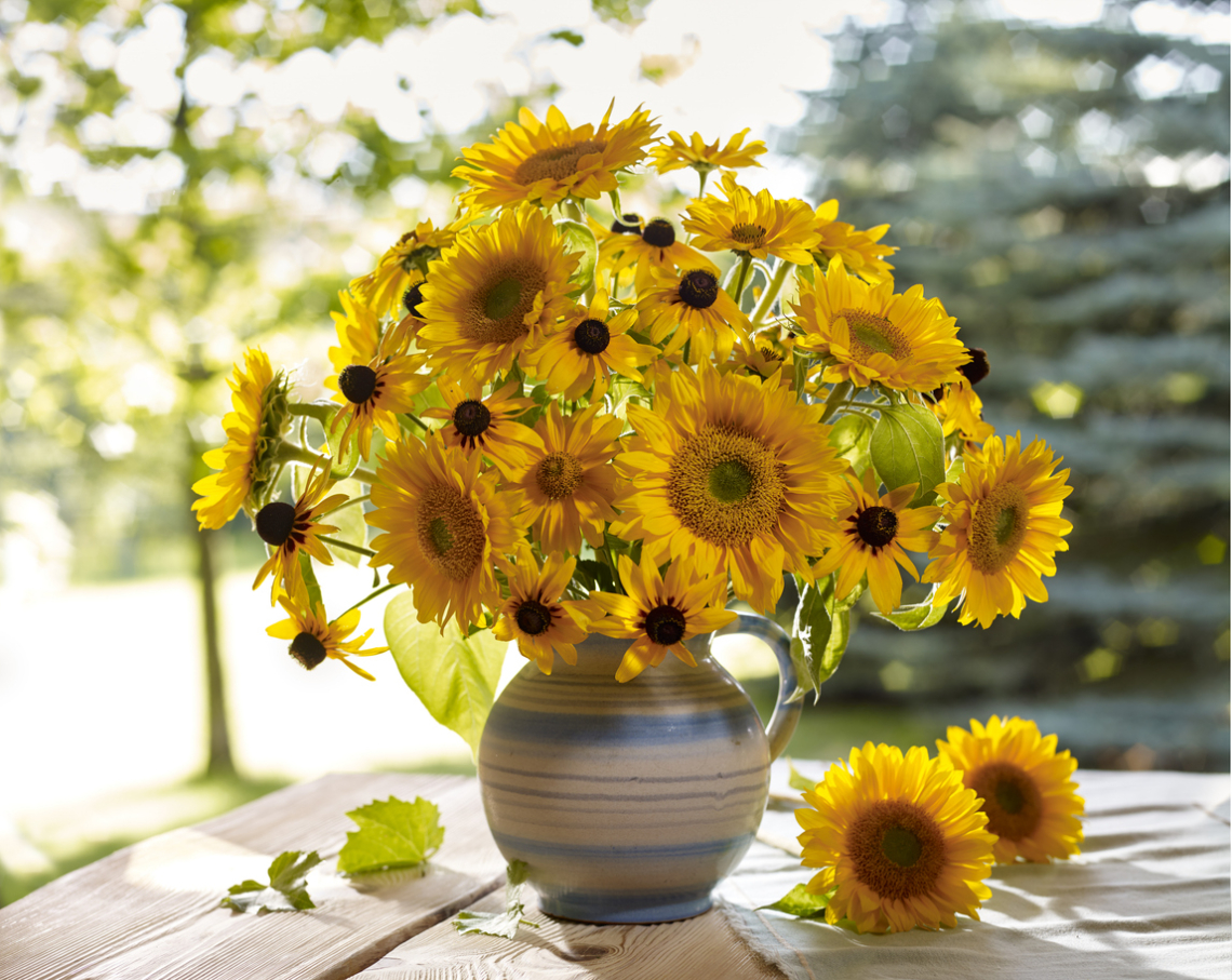 Ma Ágoston, Elemér és Mózes névnapja van. Mit árul el a személyiségük?