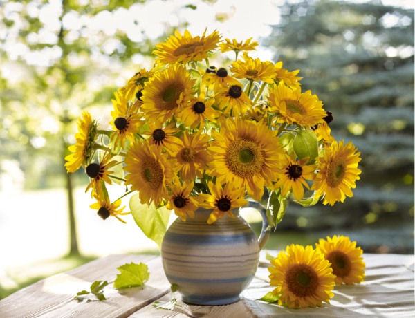 Ma Ágoston, Elemér és Mózes névnapja van. Mit árul el a személyiségük?