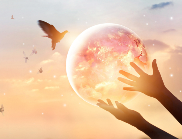 6 jel, hogy az univerzum új fejezetet készít elő neked