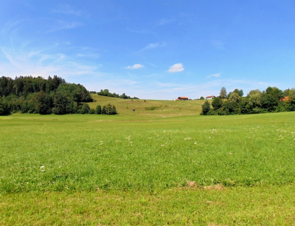 A mai időjáráson meglepődhetsz, de többségében még fürdőzhetsz a napon