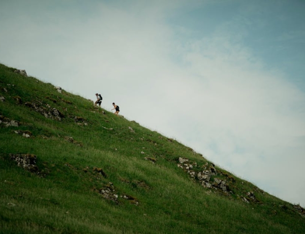 Pollenhelyzet Magyarországon: friss előrejelzés allergiásoknak segítő tippekkel