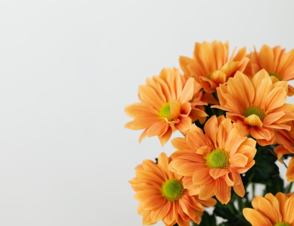 Névnapok és hagyományok: fedezd fel a személyes ünneplés varázsát és régi szokásokat