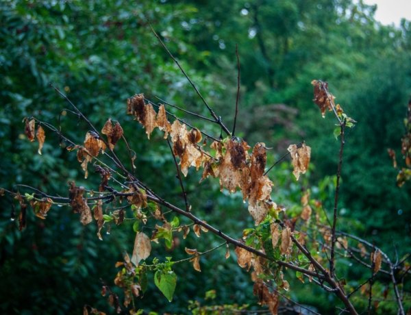 Szeptember 13.: nem stabil ma az időjárás, ne most indulj kirándulni!