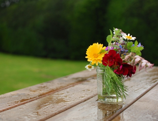 A nyárias meleget zivatarok szakítják meg, hidegfront közelít