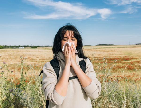 Pollenriadó: a parlagfű és nyírfa pollenszintje továbbra is kritikus!
