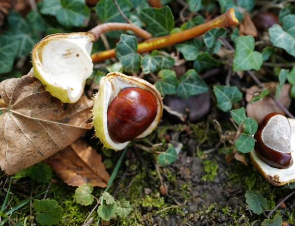 Friss időjárás jelentés: hűvös, változékony idő várható