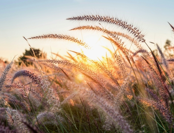 Ősziesedik az idő: hűvös reggelek napos délutánokkal