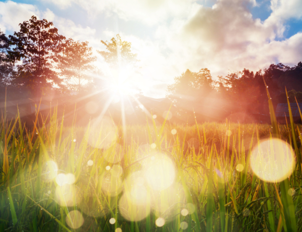 Szeptember 11.: Napos, nyárias idő, de estére hidegfront érkezik!