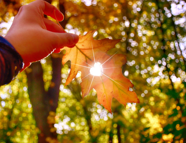 Időjárás szeptember 21.: Nyárias meleg várható, de történhetnek még meglepetések