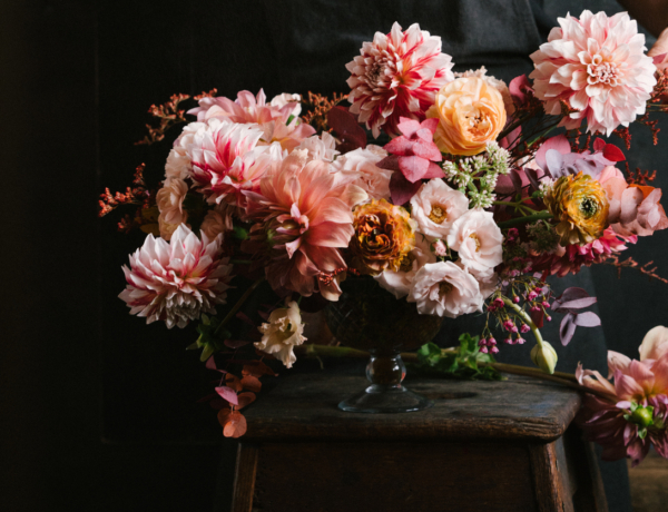 Ma ünnepeljük Eufrozina, Kende, Jakab és Kristóf névnapját – fedezd fel a nevek titkait!