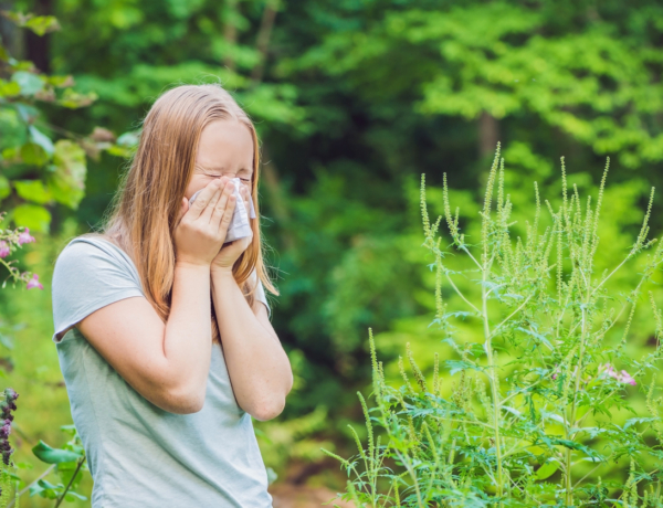 Pollenveszély ma: ez a pollenkoncentráció ma kiemelkedően magas