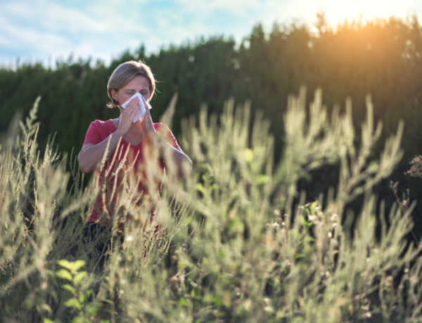 Ma erősödhet a parlagfű allergia – készülj!