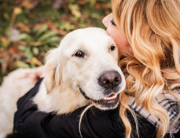A tökéletes háziállat számodra – a születési hónapod alapján