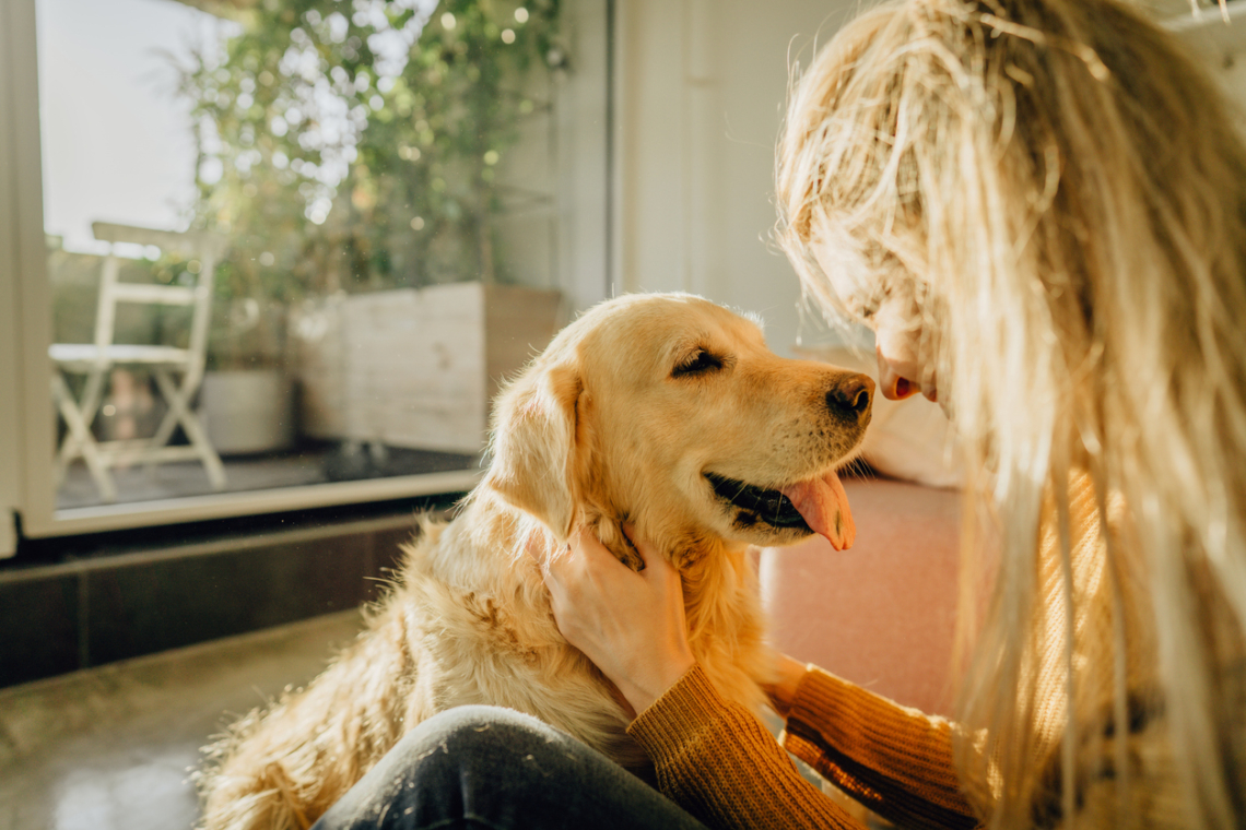 Hogyan számolhatod ki pontosan a kutyád életkorát?