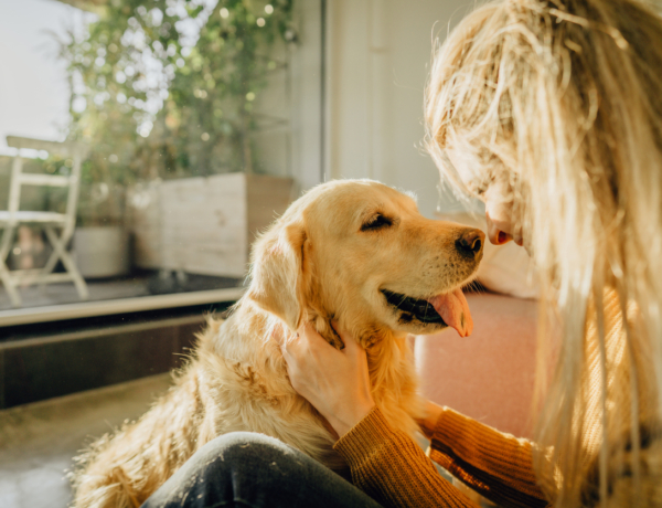 Hogyan számolhatod ki pontosan a kutyád életkorát?