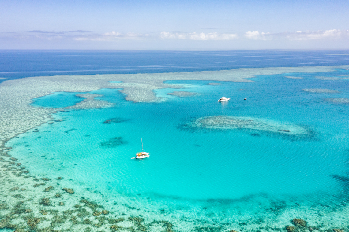 Lehet lelke egy korallzátonynak? Egy merész ötlet, ami megmentheti a Föld egyik csodáját
