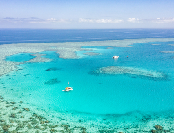 Lehet lelke egy korallzátonynak? Egy merész ötlet, ami megmentheti a Föld egyik csodáját