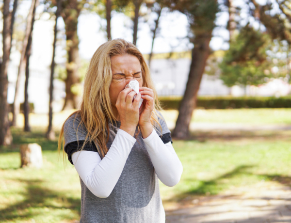 Még mindig magas a parlagfű koncentrációja – Ez az, ami ilyenkor segít