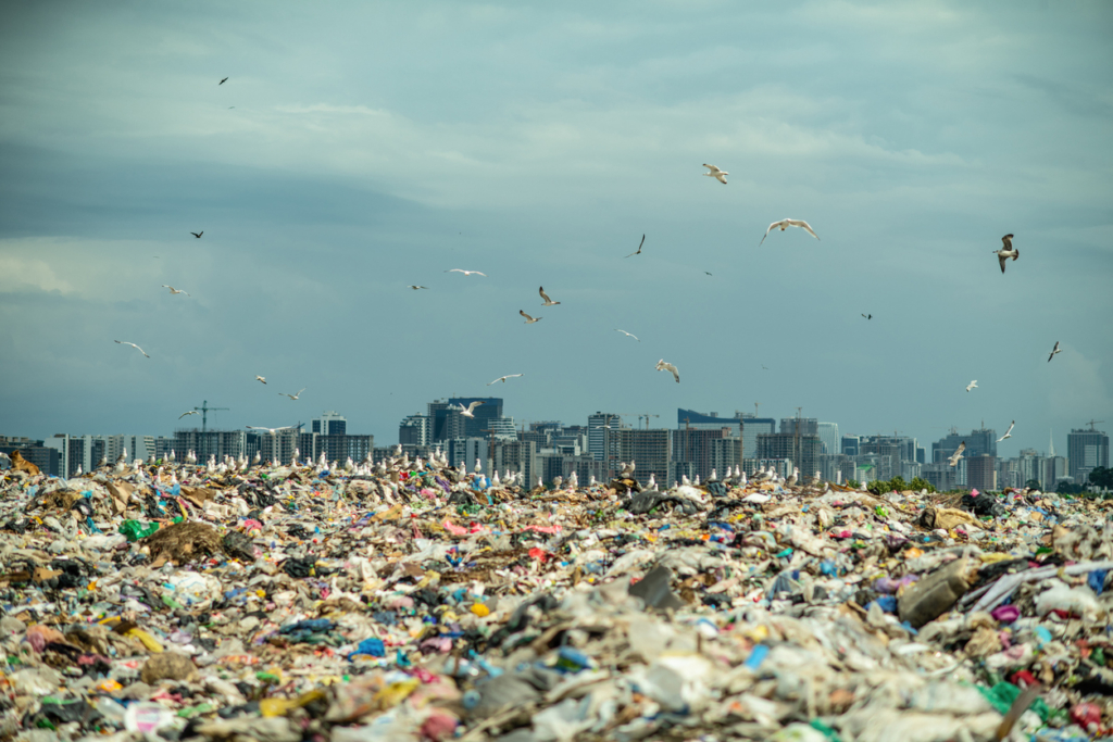 Döbbenetes: a Földön már több műanyag van, mint élőlény-biomassza