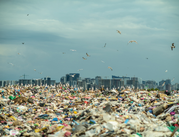 Döbbenetes: a Földön már több műanyag van, mint élőlény-biomassza