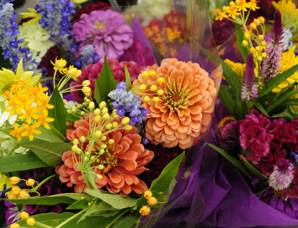 Ma Rozália és Ida névnap van – Milyen személyiségük van?