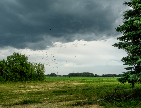 Időjárás szeptember 25: Szeles, borongós reggel után délután felszakadozik az ég