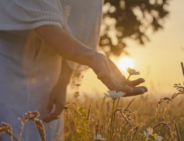 Ma ünnepeljük Teodóra, Jácint és Helga névnapját – mit mond a nevük róluk?