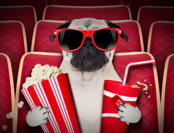 Angliában már mindennapi dolog kutyával mozizni – Várjuk a trendet?