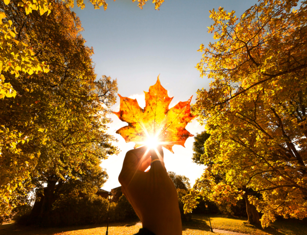 Szeptember 16.: Hűvös a reggel, napközben sem lesz nagy melegünk