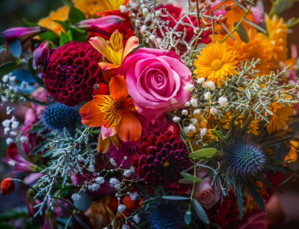 Ma Enikő és Melitta névnapja van – Milyen személyiséget rejtenek a nevek?