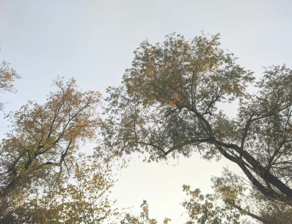 Szeptember 26. időjárás: Ma már kabát is kell!