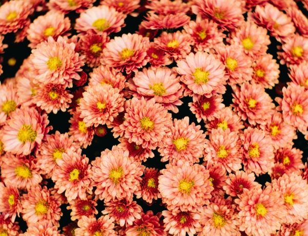 Ma Gellért és Mercédesz névnapja van – fedezd fel a nevük titkát és személyiségüket!