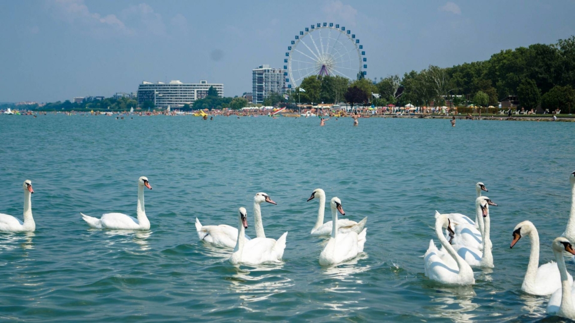 Balatonfüredi lakásvásárlás: ezért választják egyre többen második otthonuknak a Balaton fővárosát!