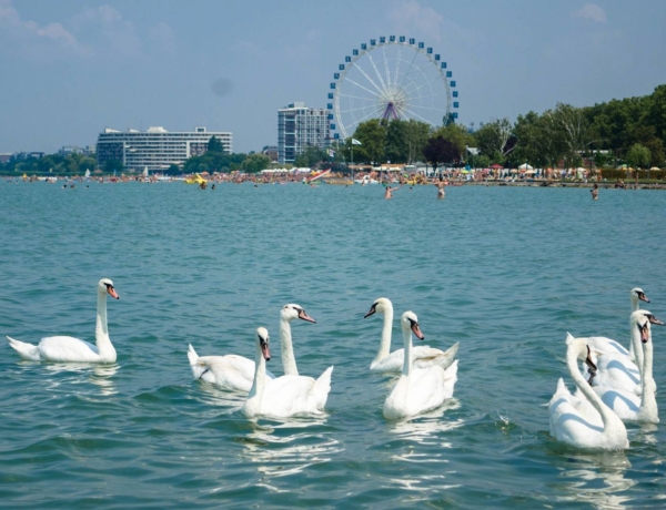 Balatonfüredi lakásvásárlás: ezért választják egyre többen második otthonuknak a Balaton fővárosát!