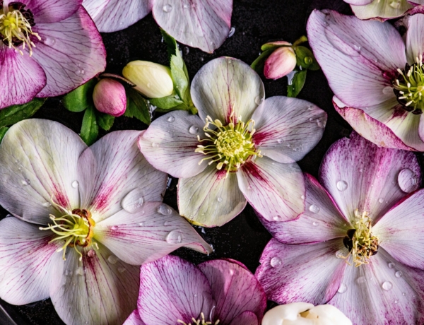 Ma, október 20. Vendel, Irén névnapja van – Ismerd meg a személyiségüket!