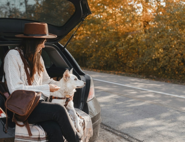 Őszies az idő, de még kellemes. Ilyen időjárásra számíts ma