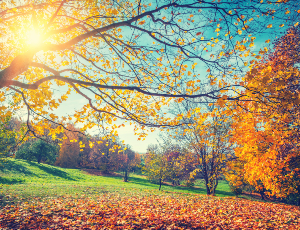 Időjárás október 16.: Meleg, napos délelőtt után felhős, szeles délután vár ránk