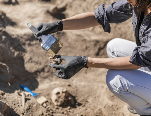 Egy 200 millió éves ragadozó rejtőzött a homok alatt – elképesztő felfedezés Indiában