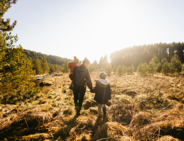 Hűvös reggeli köd, napközben ragyogó napsütés: őszi örvény Magyarország felett!