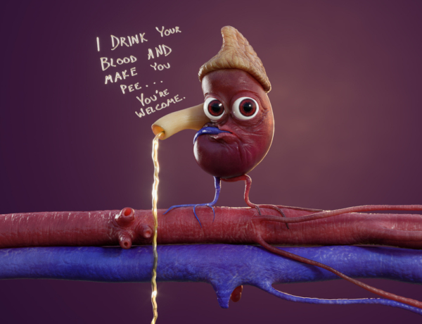 Ezek az apró szervek oltári nagy munkát végeznek. Ezzel a 10 szokással károsítod a veséidet