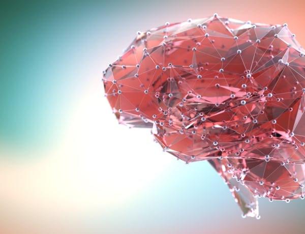 Az orvosok egyetértenek: ez a szokás lassítja az agy öregedését