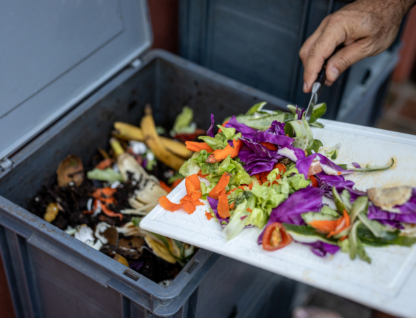 Komposztálás kert nélkül. Így csináld otthon vagy a teraszon
