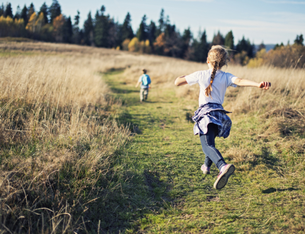 Végre elviselhetővé vált a parlagfű koncentrációja?