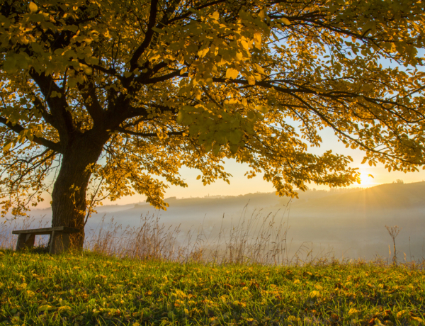 Kellemes vasárnapi őszi időnk lesz. Legtöbb ennyi fokra számíts