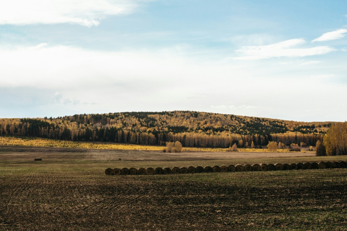 Még tombol a pollen, várjuk már a végét! Pollenjelentés